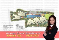 Orange Grove Residences (D10), Condominium #46069412